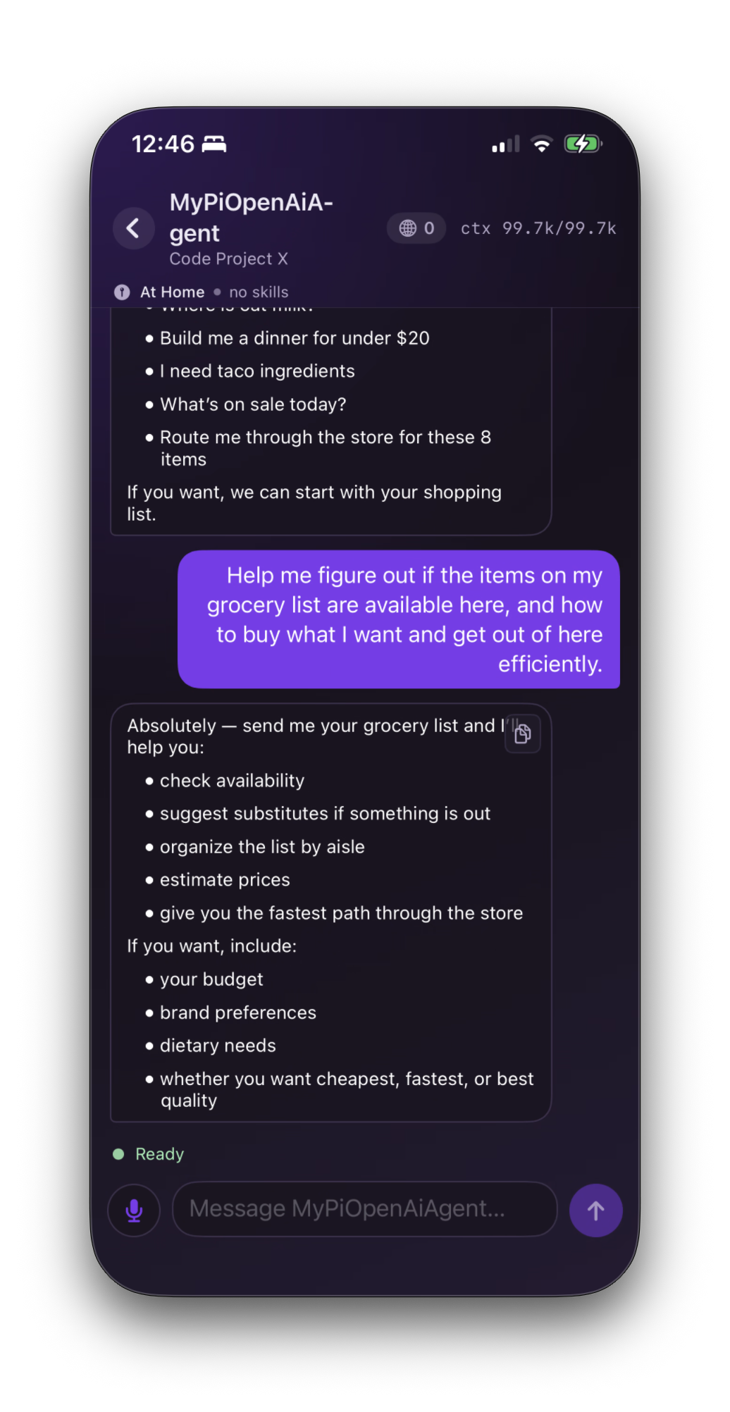 Rook on iPhone